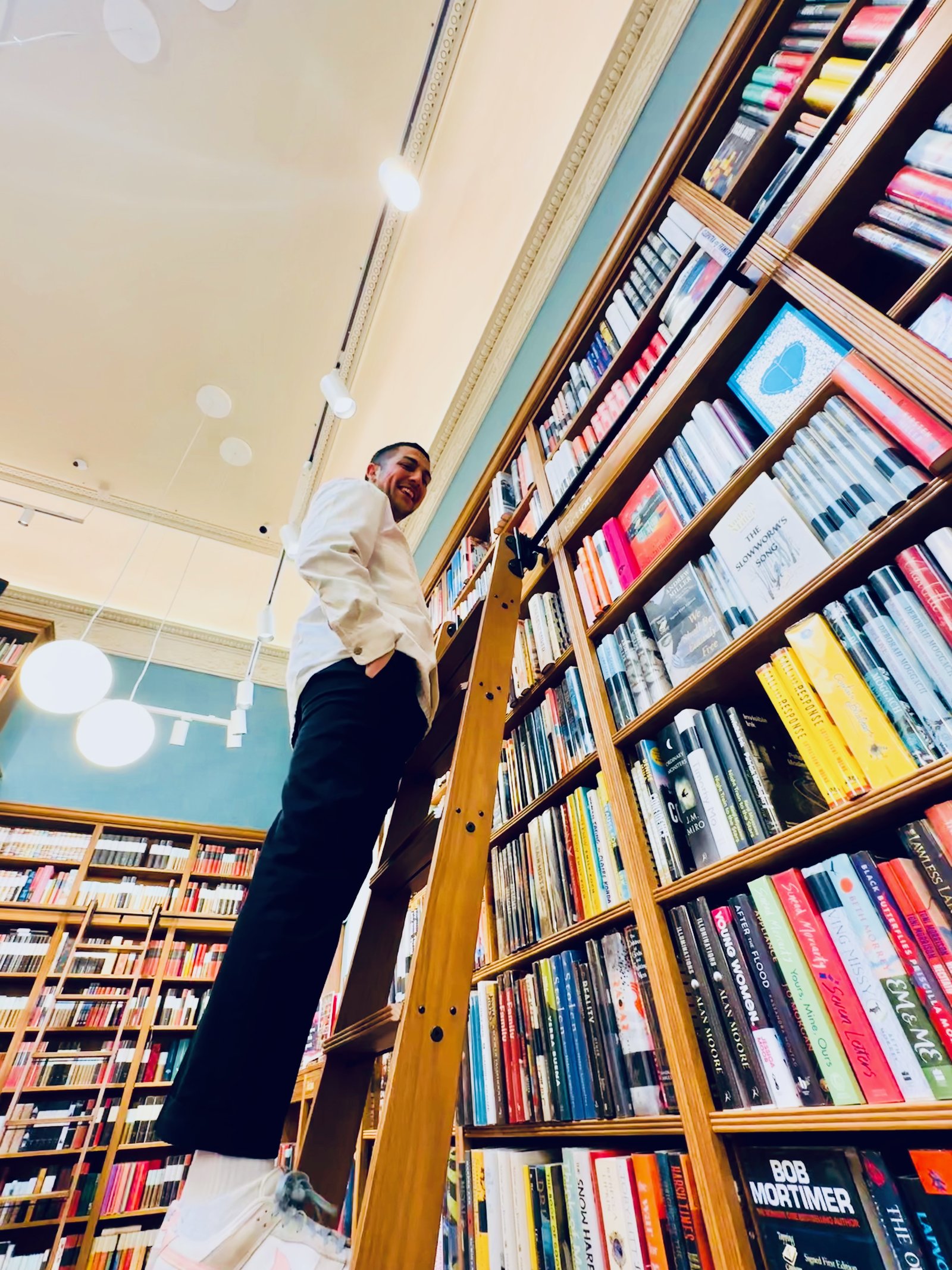 Bookshop ladder in Bath